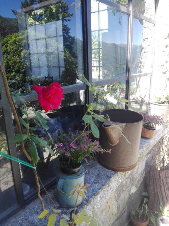 Sweet Home Faggeto Lario 外观 照片